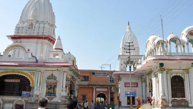 image (7)